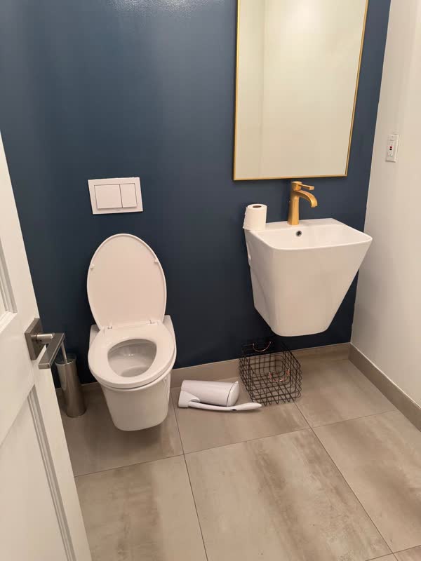 Powder room with wall-hung toilet on concealed carrier, dual-flush actuator plate, wall-hung basin and brass faucet on…
